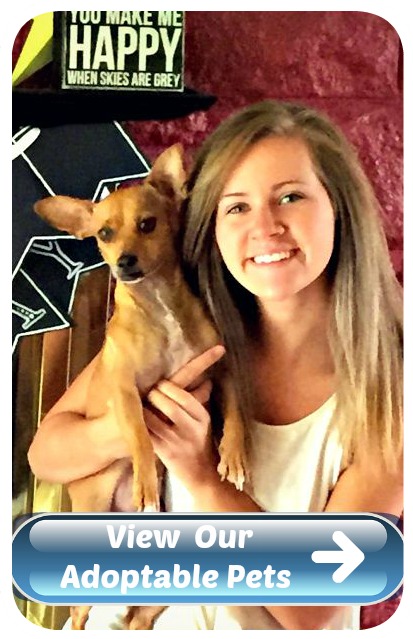 Pet Adoption Application